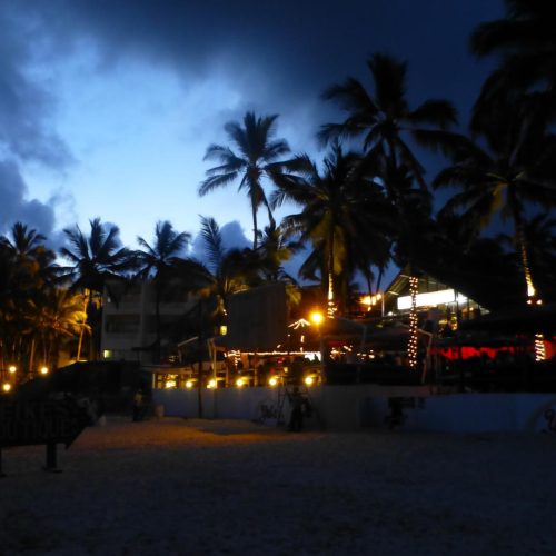 hippo guest house night