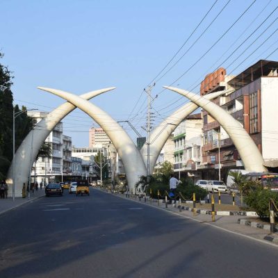 mombasa elephant tusks