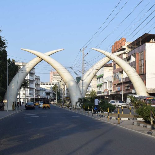 mombasa elephant tusks